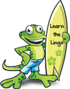 learn-the-lingo-gecko