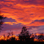 Tucson-sunset