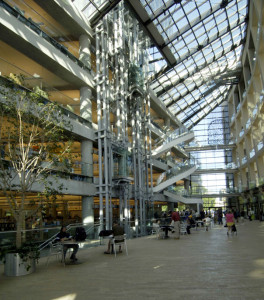 Interior of Salt Lake City Library. You can sit under a real tree and read a book, just as if you were outdoors. Newer libraries are being designed as meeting places. They no longer want the reputation of, "Shhh. Be quiet. Don't talk."