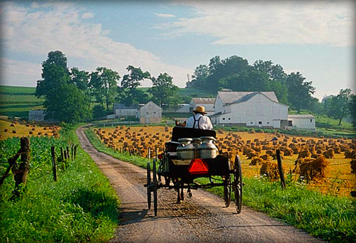 Broad Run Cheese House, Cleveland-Canton-Amish